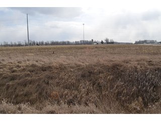 Property photo 57 - 127 Acres Offered in 8 Tracts - Allen & Dekalb County Land